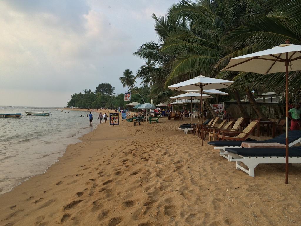 Hotel Coconut Bar Sea Lodge Beruwala Exterior photo